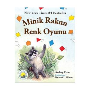 MİNİK RAKUN RENK OYUNU