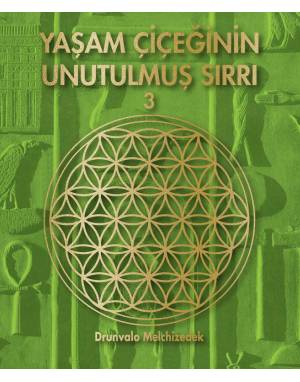 YAŞAM ÇİÇEĞİNİN UNUTULMUŞ SIRRI 3